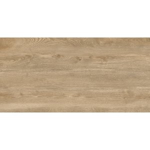 керамогранит Delacora D120250M
